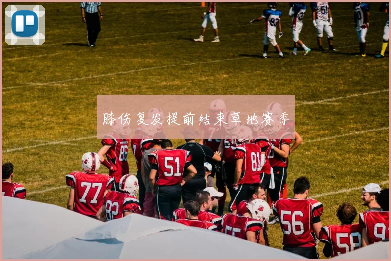 膝伤复发提前结束草地赛季