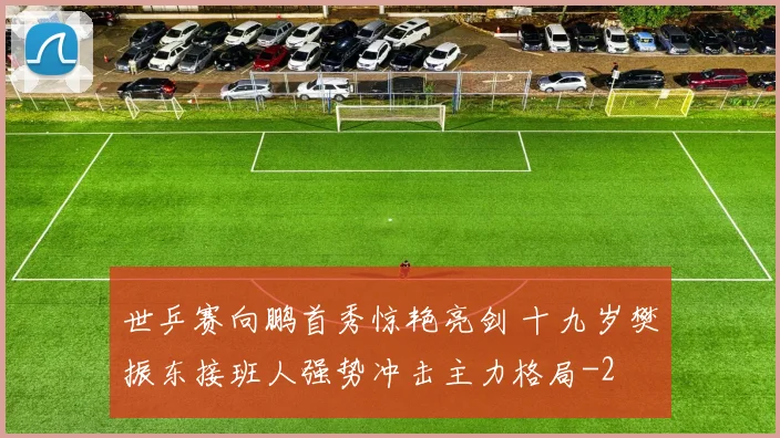 世乒赛向鹏首秀惊艳亮剑 十九岁樊振东接班人强势冲击主力格局